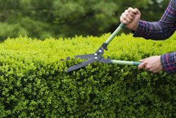 Gardening Services
